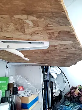 gatoalex89 online show from 04.08.26