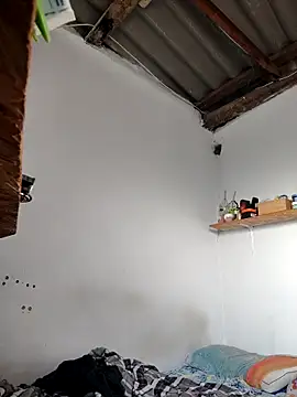 gatoalex89 online show from 04.14.26