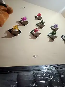 Soniya 444 online show from 03.01.26