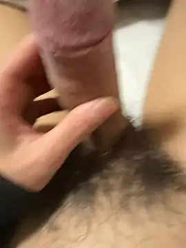 toto3119 online show from 01.01.25