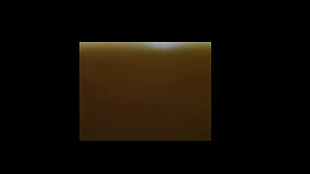 Snapshot of berberson chatting on 12.30.24 berberson online show from 12.30.24