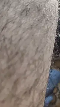 niyack69 online show from 01.31.26