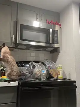 ParkerGYATT online show from 04.09.26