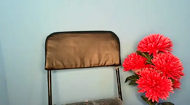 Snapshot of SIYA_MAVI chatting on 01.22.25 SIYA MAVI online show from 01.22.25