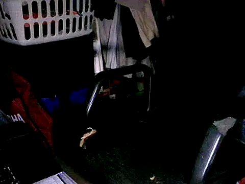 SergCarMX1 online show from 10.06.25