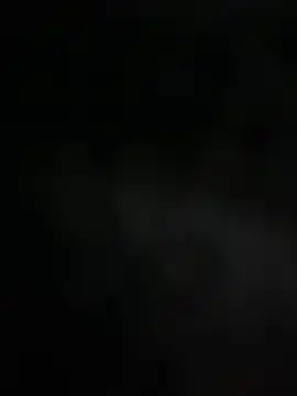 Snapshot of mdnn77 chatting on 02.19.25 mdnn77 online show from 02.19.25