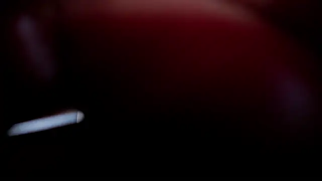 Sexo conpartido online show from 02.15.25