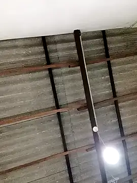 Queen princes online show from 02.23.25