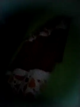 safado0027 online show from 11.09.25