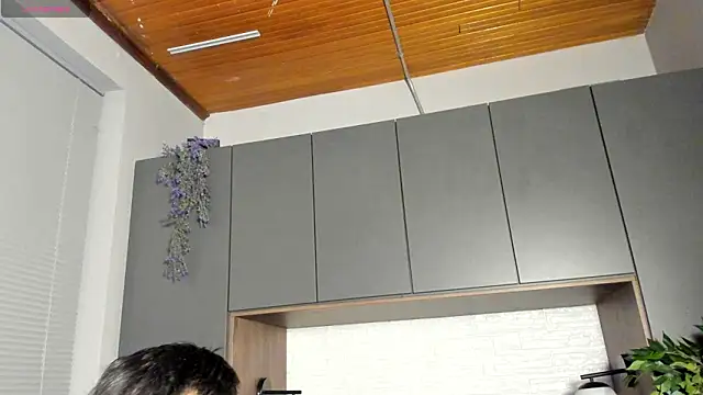 tim  fox online show from 03.24.26