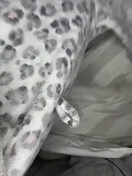 VioletxBlue online show from 03.28.26