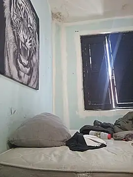 dany hardy online show from 02.22.26