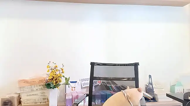 Lush-Office online show from 03.12.25