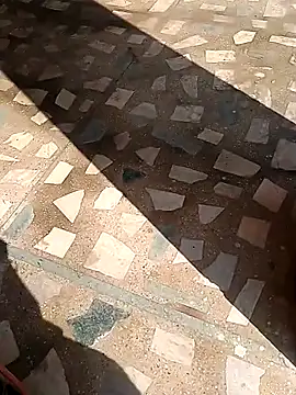 Snapshot of Raj41 chatting on 11.13.25 Raj41 online show from 11.13.25