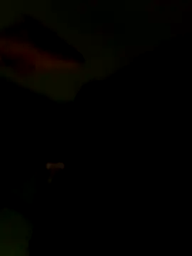 Snapshot of Raj41 chatting on 01.15.26 Raj41 online show from 01.15.26