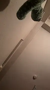 RaviRoy2326 online show from 03.01.25