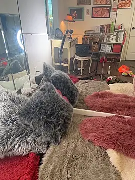 I am babydoll online show from 03.04.26