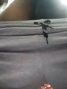 knightwolf9935 online show from 01.30.25