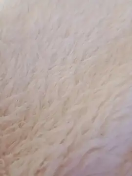 feketedemon36 online show from 01.21.25