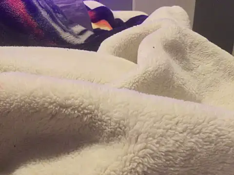 Pilote19 online show from 01.06.26