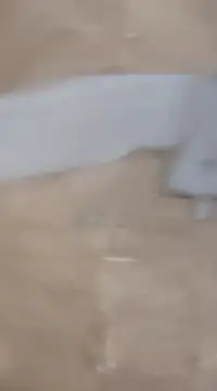 laxmitelugu78 online show from 02.02.25