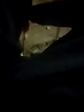 Playboy bhabhi 00 online show from 02.13.25