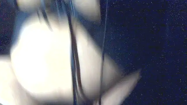 Leelasissy online show from 03.06.26