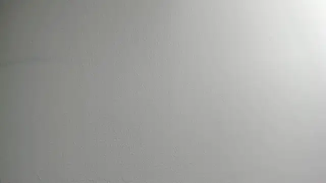 Snapshot of Tombarden chatting on 02.11.25 Tombarden online show from 02.11.25