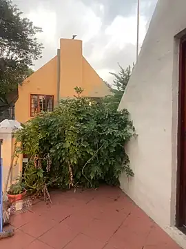 ZinaFreak online show from 02.04.25