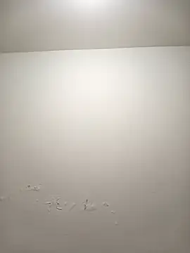 Sophia Dupontx online show from 11.28.25