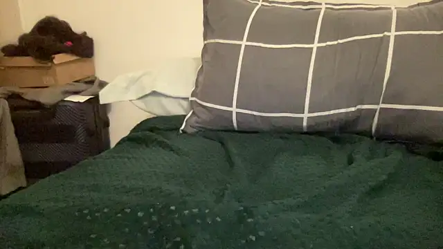 Snapshot of shineofcrazy chatting on 11.21.25 shineofcrazy online show from 11.21.25