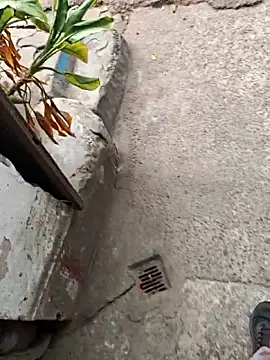 sethgamble000777 online show from 12.20.25