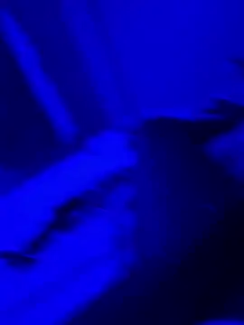 bigbola304 online show from 03.31.26