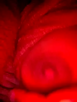 bestfriend-shikha online show from 02.05.25