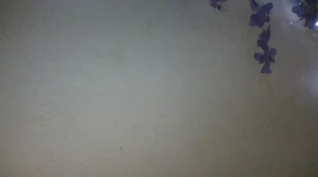Snapshot of xxsexycutexxx chatting on 02.18.25 xxsexycutexxx online show from 02.18.25