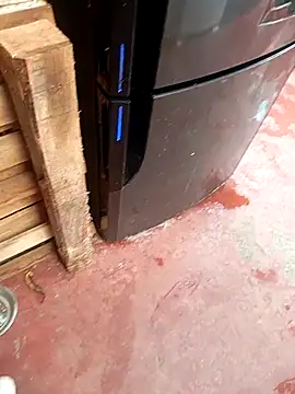 HotC1991 online show from 01.12.26