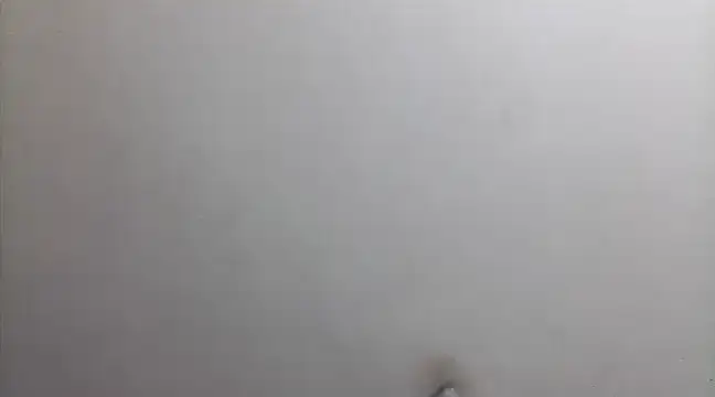 beatle666 online show from 02.26.25