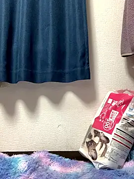 PINO pino 01 online show from 11.24.25