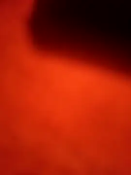 Snapshot of dominationmybigdick chatting on 09.22.25 dominationmybigdick online show from 09.22.25