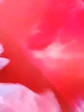 dominationmybigdick online show from 12.03.25