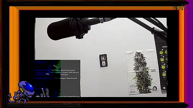 Snapshot of ReyDeBotones chatting on 03.13.25 ReyDeBotones online show from 03.13.25