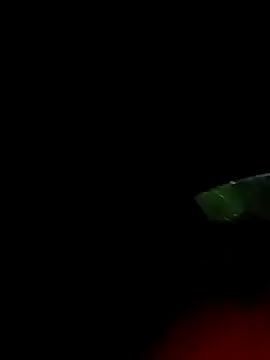 Snapshot of ginger_1_1 chatting on 03.18.25 ginger 1 1 online show from 03.18.25