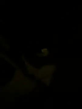 Snapshot of sark0606 chatting on 02.06.25 sark0606 online show from 02.06.25