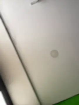 Snapshot of Dulce__Boyd chatting on 02.17.26 Dulce Boyd online show from 02.17.26