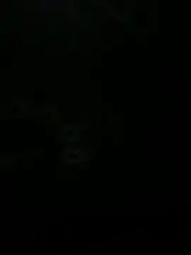 leonard  123 online show from 03.12.25