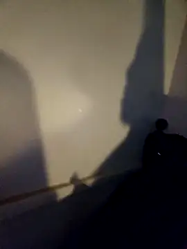 Snapshot of ShysluutGia chatting on 11.04.25 ShysluutGia online show from 11.04.25