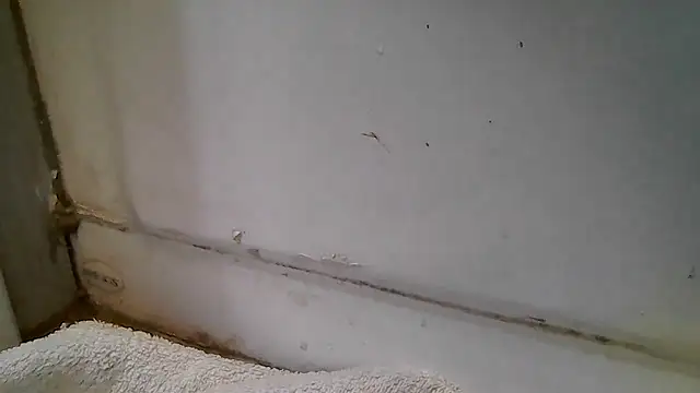 Snapshot of ShysluutGia chatting on 12.15.25 ShysluutGia online show from 12.15.25