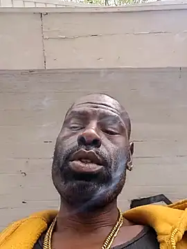 birdg online show from 09.23.25