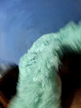 Caing23 online show from 02.27.26