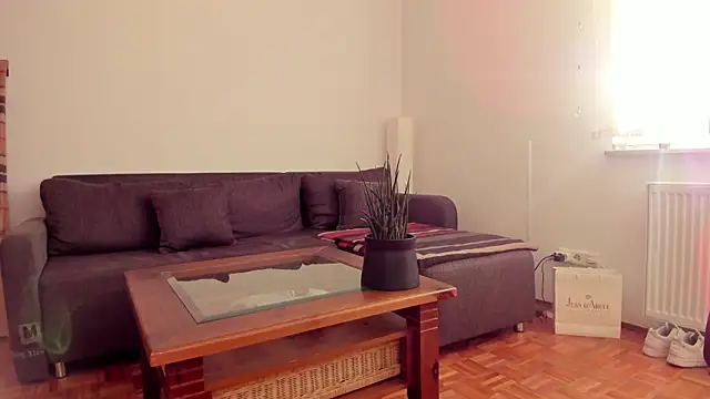 molicaremolicare online show from 11.06.25